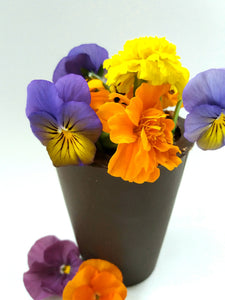 GATEAU AUX FLEURS COMESTIBLES